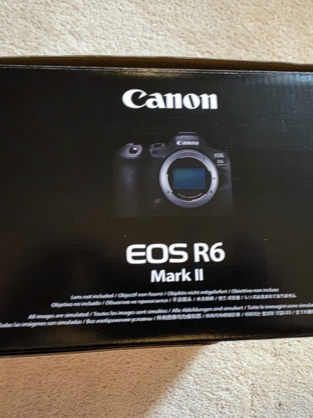 Canon/ EOS R6 Mark II 24.2 MP Digital Camera w/RF50 1.8 STM Lens